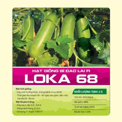 Hạt giống bí đao lai F1