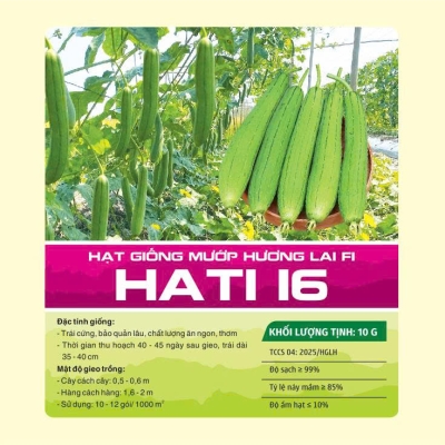 Hạt giống mướp hương lai F1