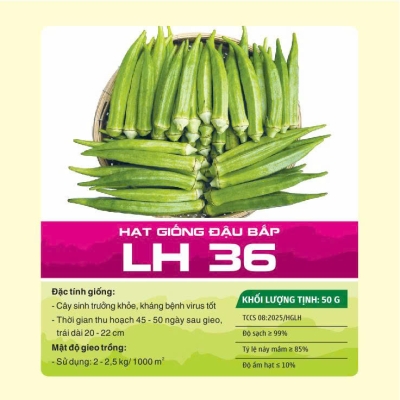 Hạt giống đậu bắp