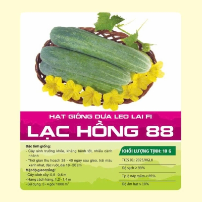 Hạt giống dưa leo lai F1