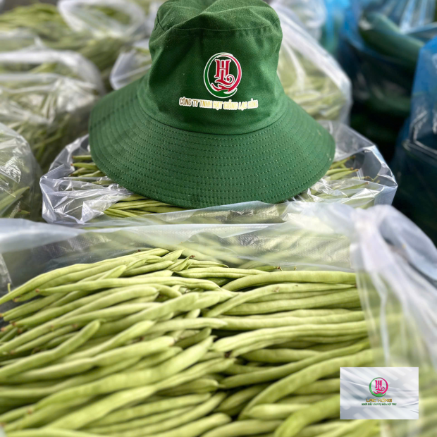 Hạt giống đậu cove